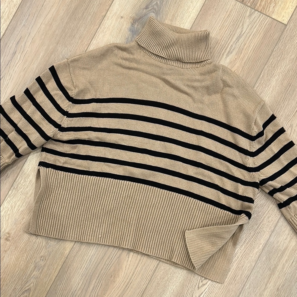 Striped Turtleneck Sweater - Black and Tan - GAP - 100% Cotton